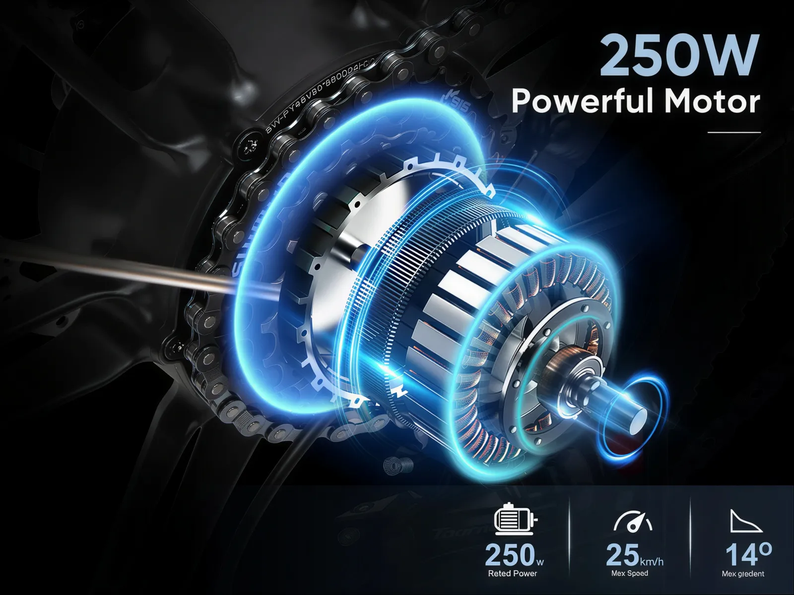 EU Legal 250W Motor