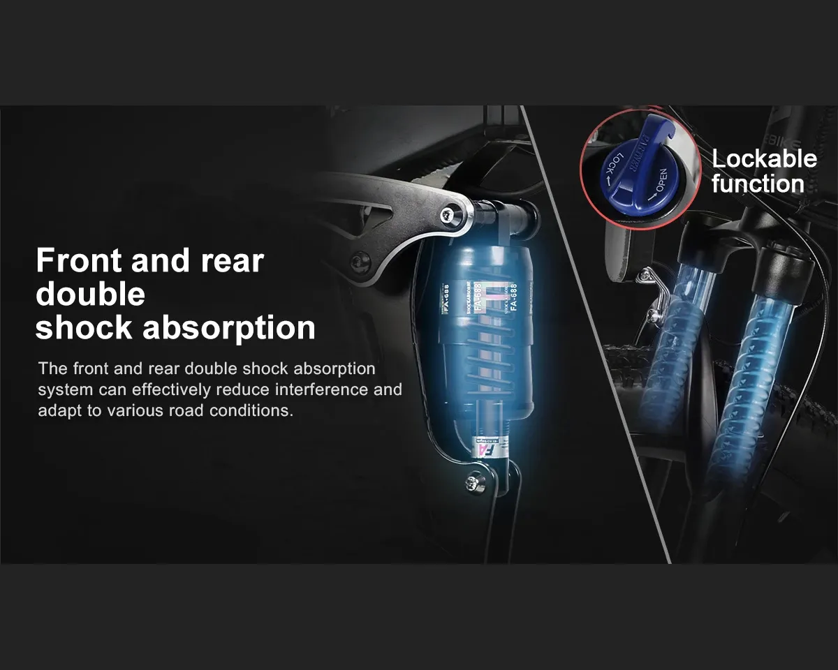 Dual Shock Absorber System