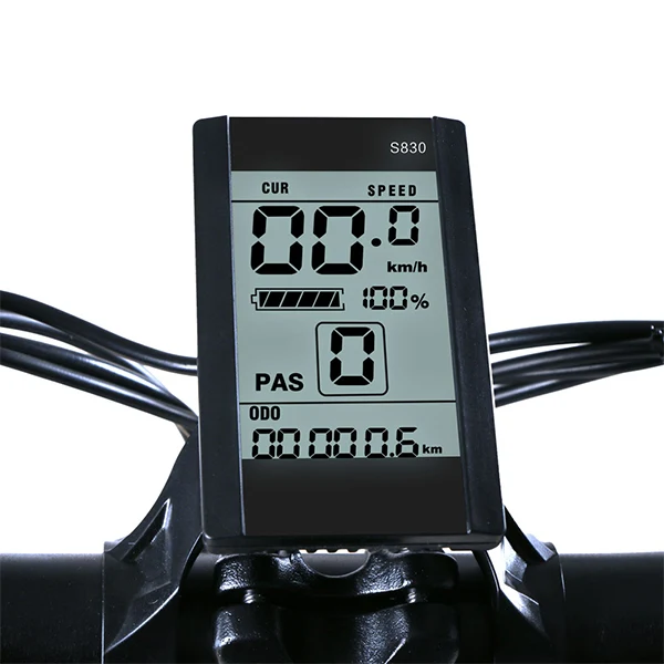 Pantalla LCD monocroma original SAMEBIKE